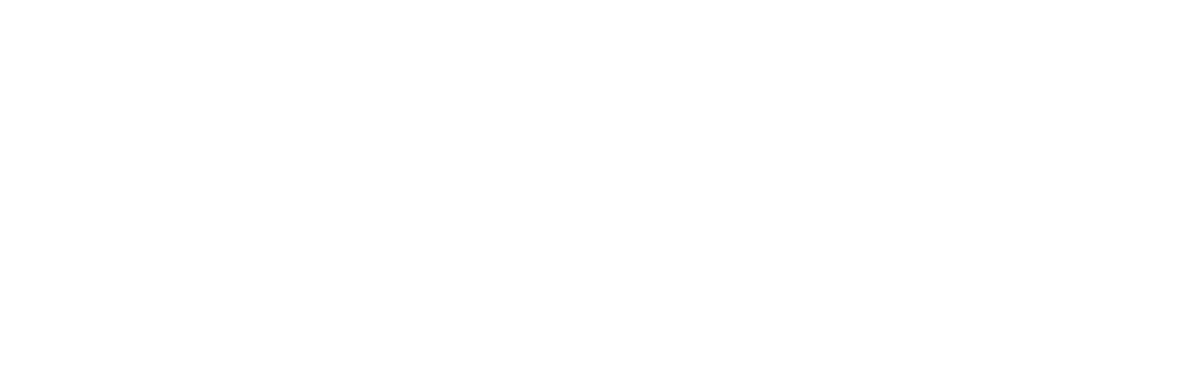Logo WS Consult